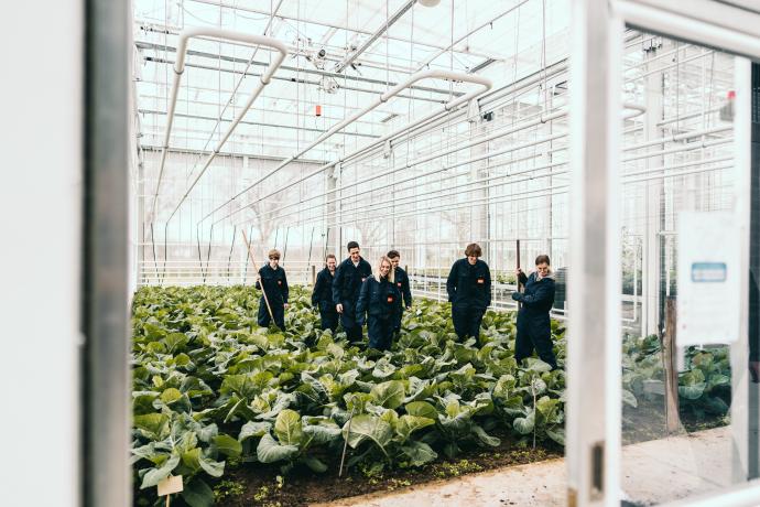 Studenten Agro- en biotechnologie in de serre van Thomas More