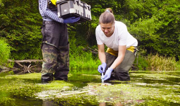 studenten milieubeheer onderzoeken water in het park